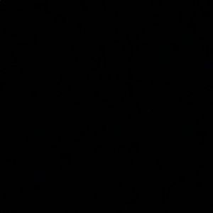 Meet your Posher, Tony